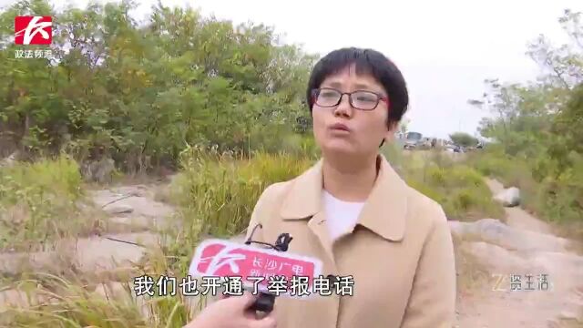 湖南湘江新区开展“加拿大一枝黄花”清除行动