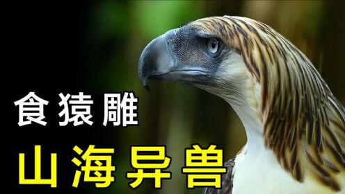 山海经中异兽"蛊雕",会不会是黑猫警长的大反派,猛禽食猿雕?