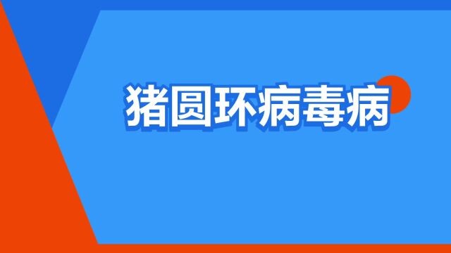 “猪圆环病毒病”是什么意思?