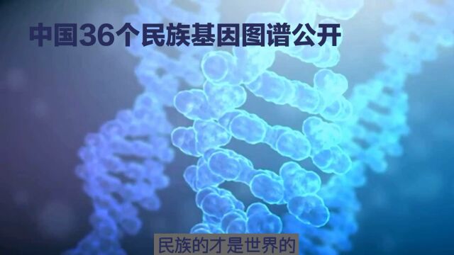 复旦大学公布中国36个民族基因图谱