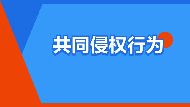 “共同侵权行为”是什么意思?