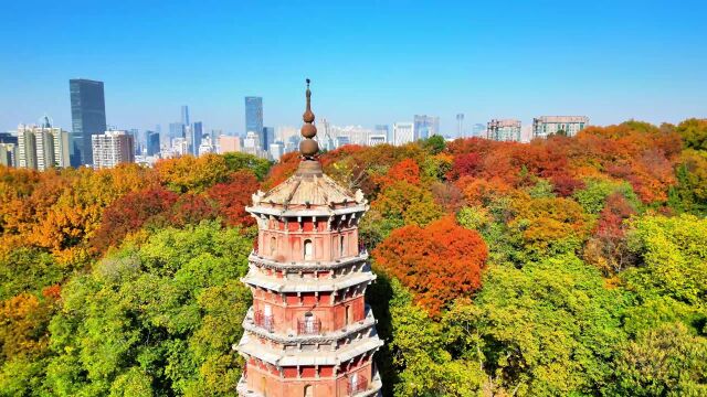 宝通禅寺和洪山宝塔初冬景色