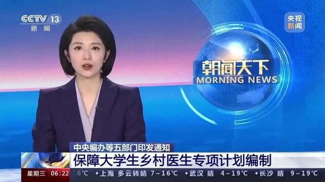 中央编办等五部门印发通知:保障大学生乡村医生专项计划编制