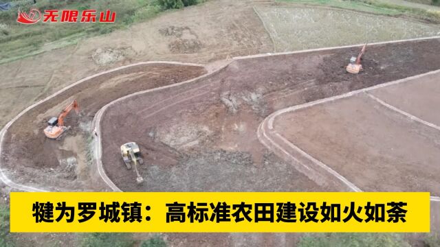 犍为罗城镇:高标准农田建设如火如荼