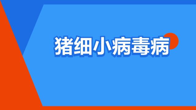 “猪细小病毒病”是什么意思?