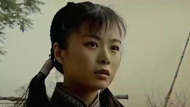 2006年2月13日,胡玫执导陈建斌蒋勤勤等主演的《乔家大院》上映