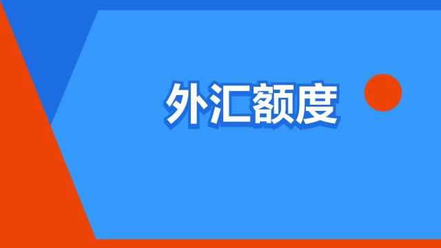 “外汇额度”是什么意思?