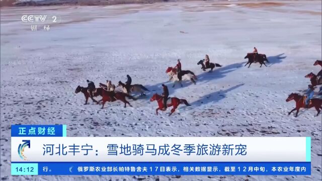 河北丰宁:这个冬天流行雪地骑马!