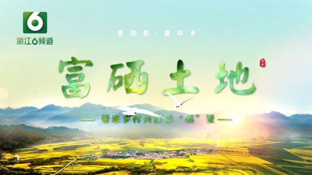 青田县黄垟乡:富硒土地 带来乡村共富新“硒”望