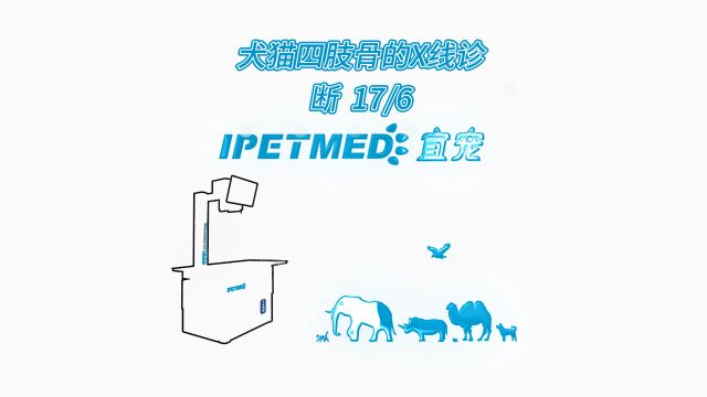 犬猫四肢骨的X线诊断(上)17/6