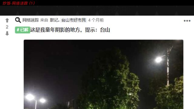 网络谜踪系列1 破案