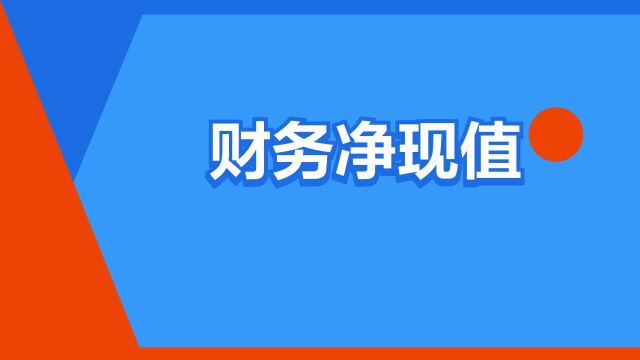 “财务净现值”是什么意思?