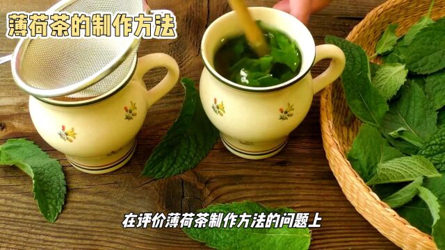 薄荷茶制作方法:健康、口感与文化的完美结合