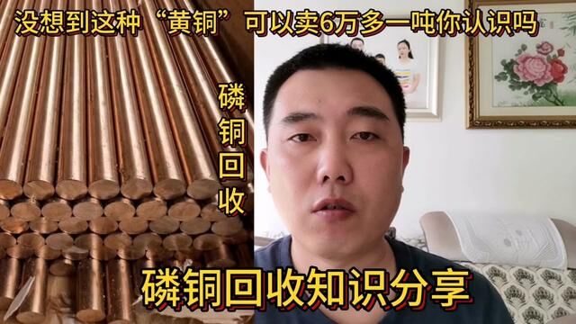 没想到这种“黄铜”可以卖6万多一吨你认识吗?分享它的回收知识#知识 #经验分享 #磷铜 #磷锡青铜 #铜回收