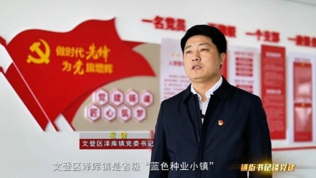 镇街书记谈党建|泽库镇:红帆领航“蓝色小镇”崛起