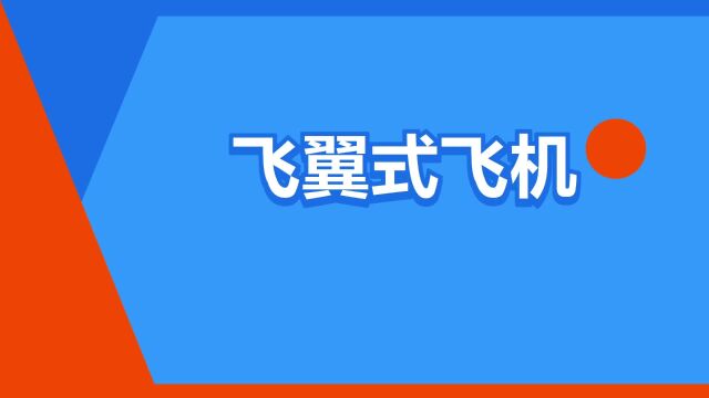 “飞翼式飞机”是什么意思?