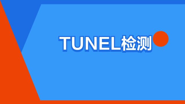 “TUNEL检测”是什么意思?