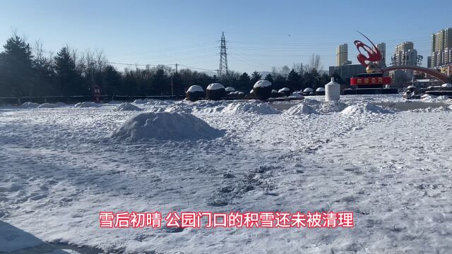 雪后初晴的公园