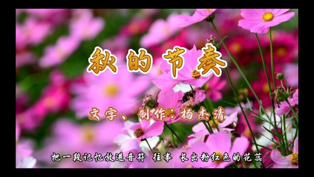 杨杰清诗歌《秋的节奏》