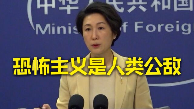 印度被曝支持巴基斯坦俾省恐怖活动 外交部回应