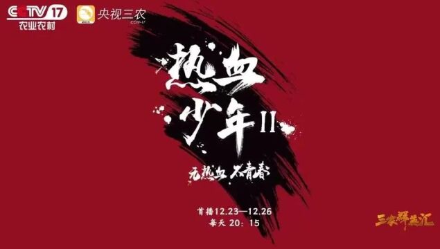 厉害了! 央视26日将首播霞浦帆船少年热血之路!