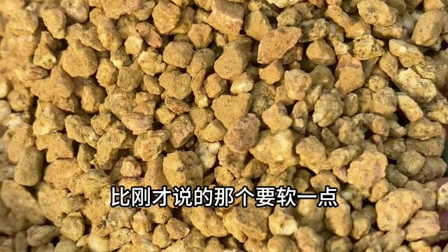 多肉用的黄金软麦饭石什么样?麦饭石好坏真的那么重要吗?