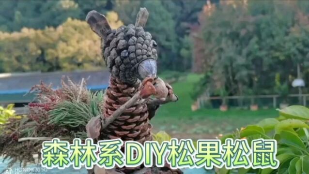 松果小松鼠DIY