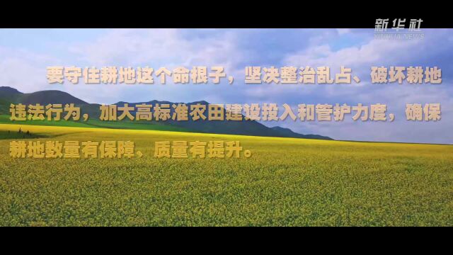 微视频|如何做好“三农”工作?习近平作出重要指示