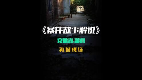 安徽萧县的刑事案件一家四口在家遇害17年真凶落网