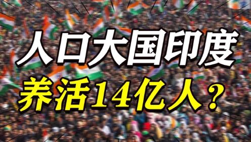 每年流失上千億美元,拿啥養活14億人?印度給中俄,分別