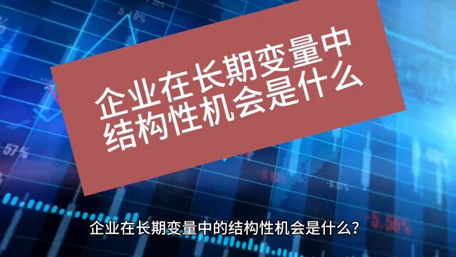 企业在长期变量中的结构性机会是什么?