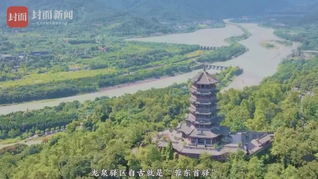 成都龙泉驿区文体旅局局长介绍成渝古道的新“驿”意