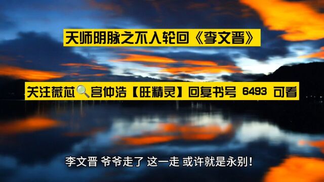 天师阴脉之不入轮回《李文晋》高分灵异小说TXT阅读○完整章节