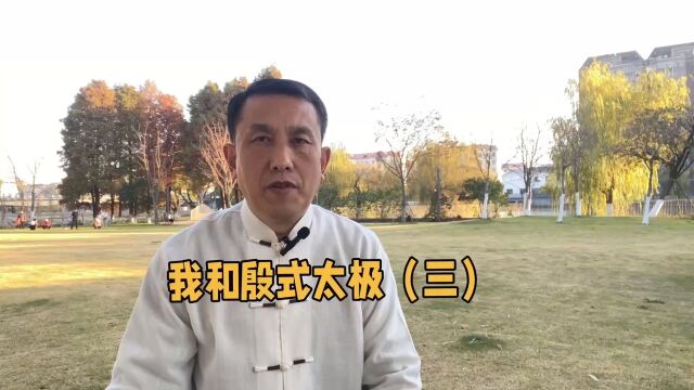 殷式太极的发展历程