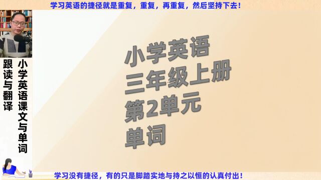 小学英语3年级上册第2单元单词跟读与翻译