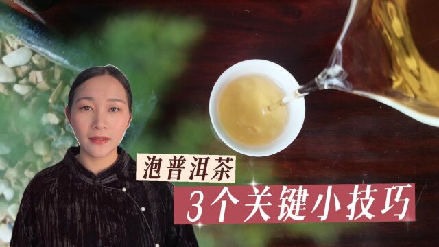 为什么你泡的普洱茶没有别人泡的好喝?学会泡茶3要素,新手也能泡好茶!