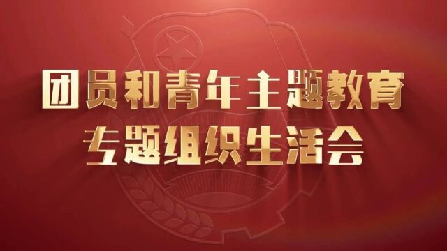 团务百科丨团员和青年主题教育专题组织生活会资源包(示范视频)