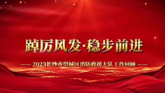 固本拓新再扬帆 | 长沙消防四个先进大队“亮出成绩单”