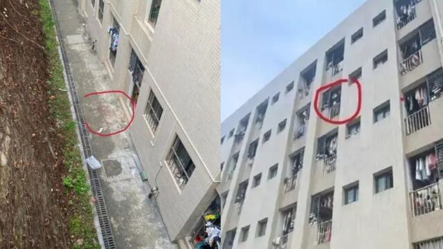 重庆大一女生在校内宿舍坠亡,警方:曾与室友发生口角,排除刑案