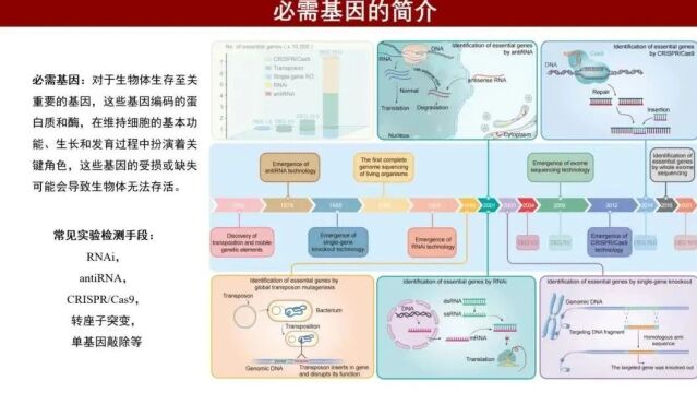 iMeta | 天津大学高峰组:必需基因特性表征与相关数据库开发的研究进展