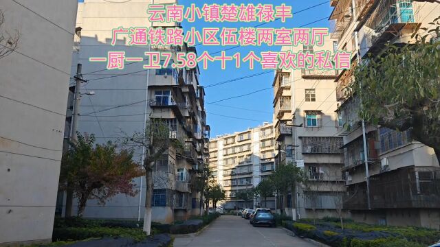 云南小镇楚雄禄丰广通铁路小区伍楼两室两厅一厨一卫7.58个十1个喜欢的私信