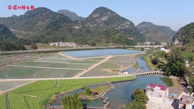 粤桂协作 乡村振兴|激活乡村产业新业态,加快推进农业农村现代化