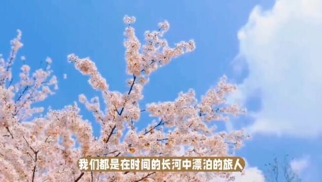 繁花盛开,人生无悔