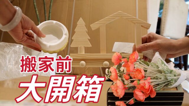 搬家倒计时2天:家居用品大开箱,最后还是踩坑了