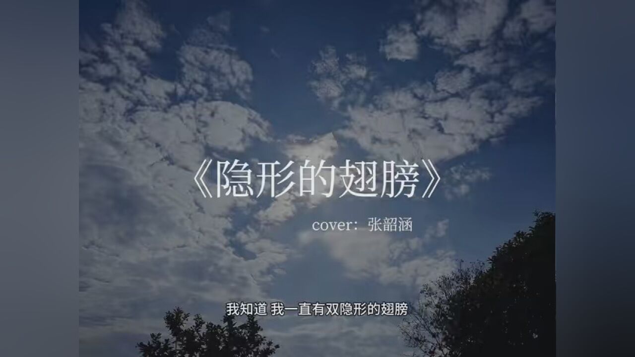 "我终于看到 所以梦想都开花"#隐形的翅膀mv #隐形的翅膀翻唱
