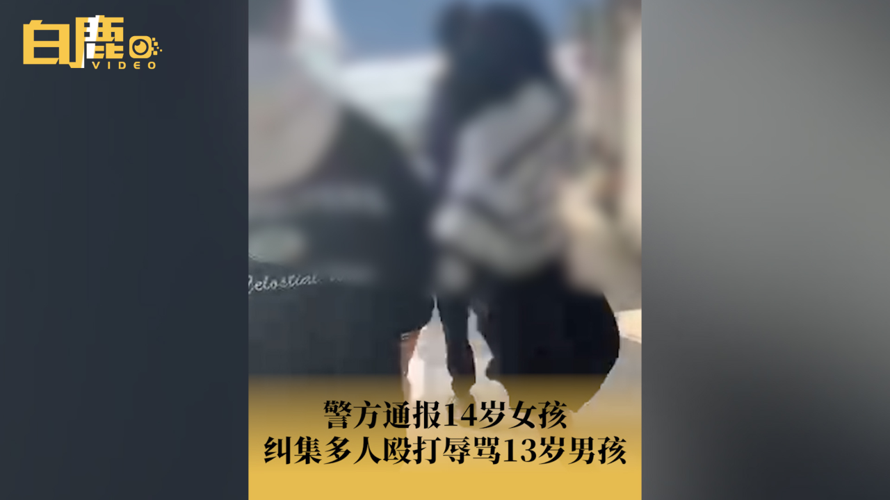 沈阳14岁女孩殴打最新图片