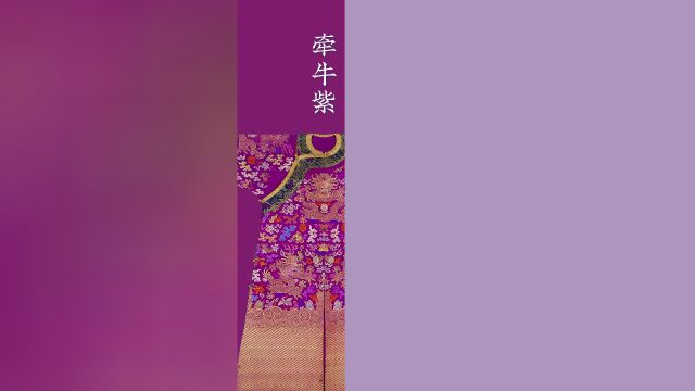 闲坐丨中国色系列·你不知道的紫
