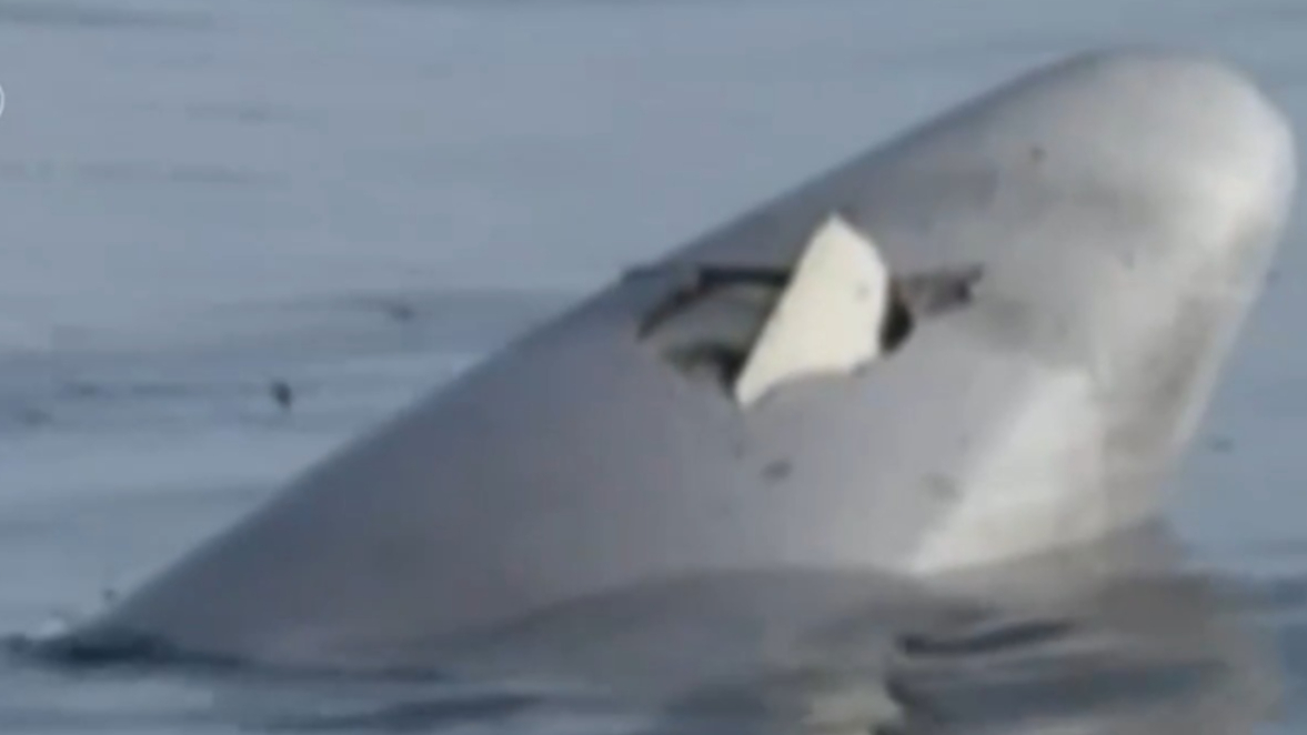 2009年,飞越大西洋的法航af447航班,从万米高空掉进茫茫大海