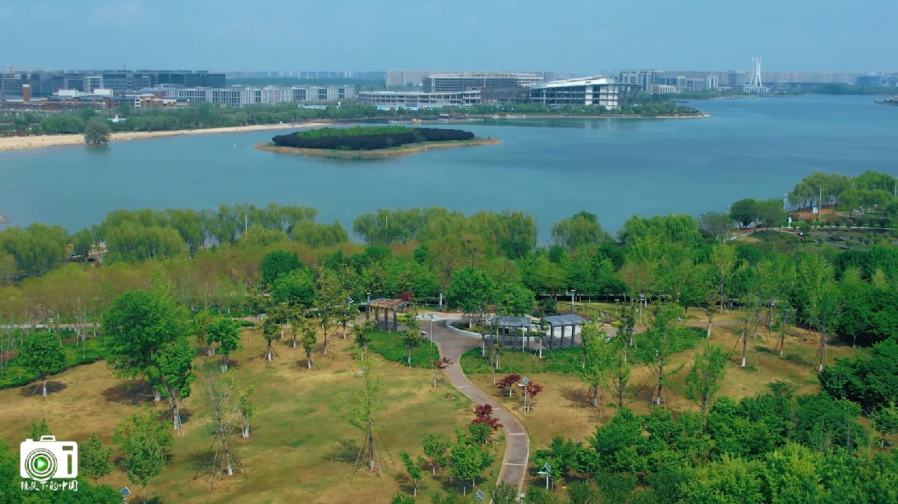 郑州龙湖湿地公园绿意盎然,水天一色,构成了一幅宁静祥和的画卷