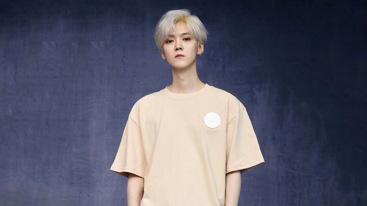 鹿晗疑似晕车半路下车呕吐,看起来相当不好,网友分析:肠胃不舒服